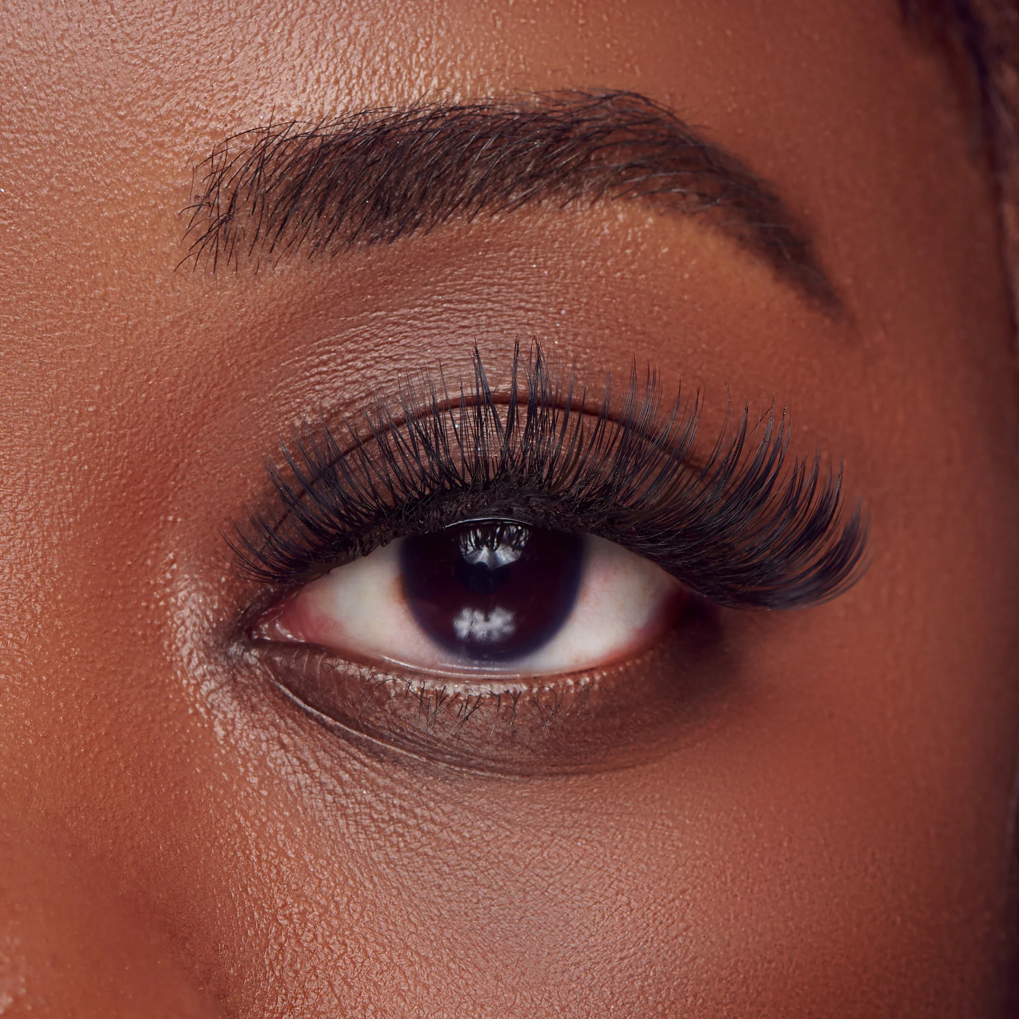 BeBlinky False Eyelashes, Wide Band, 72 ct. - Voluminous - Image 2