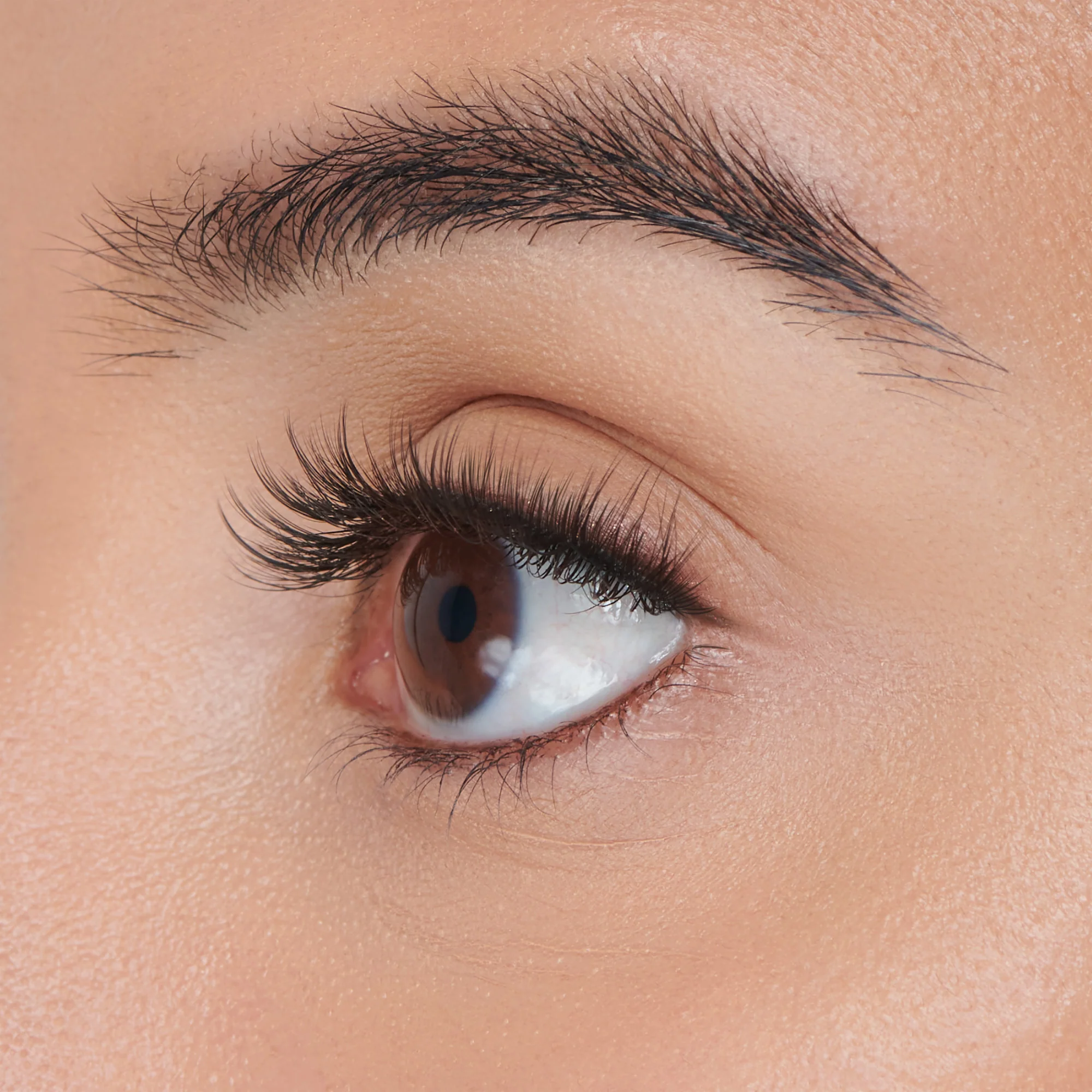 FALSCARA Faux Mink Wispy Mega Multipack - 50 Wisps - Image 2