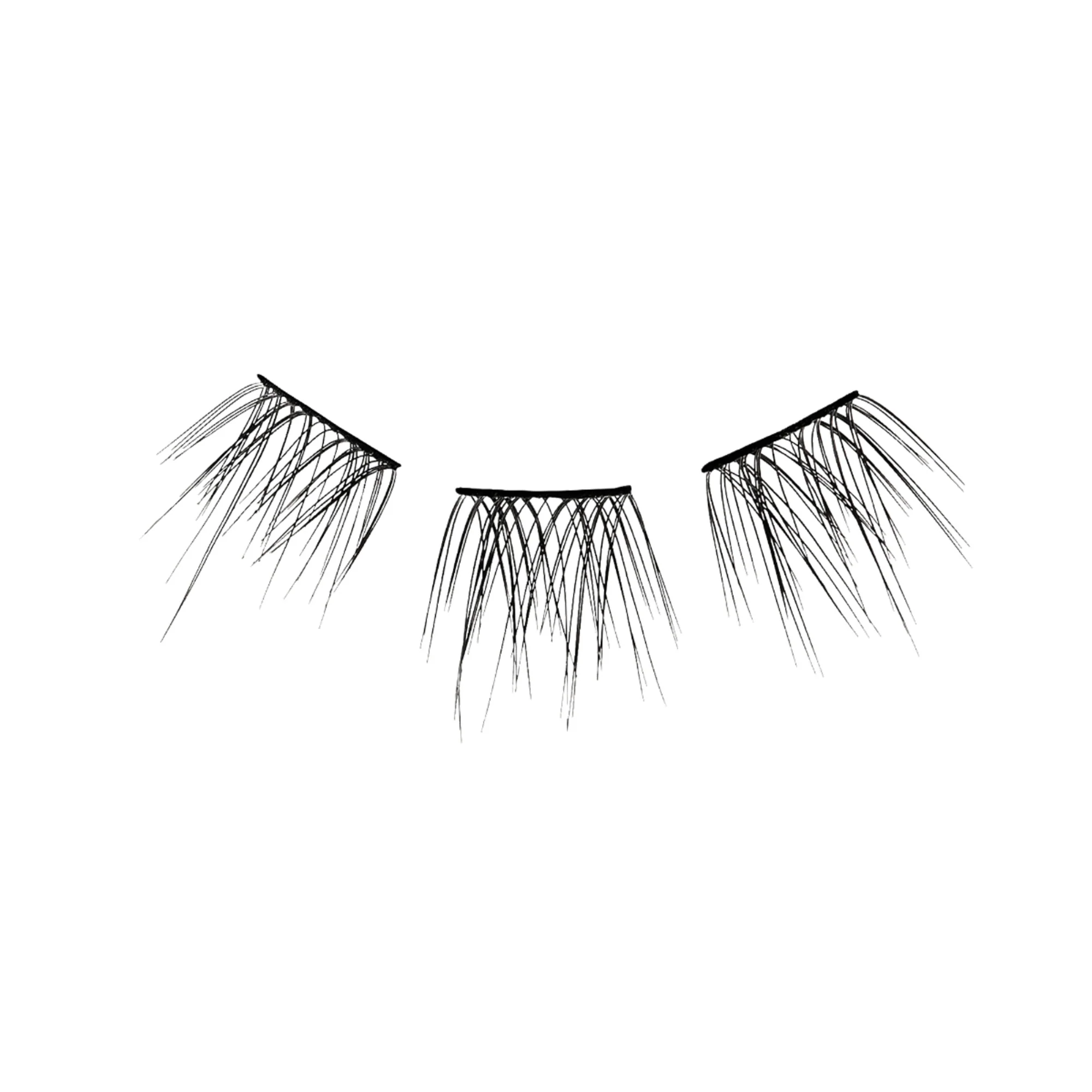 FALSCARA Ultimate Starter Kit - 24 Wisps - Image 4