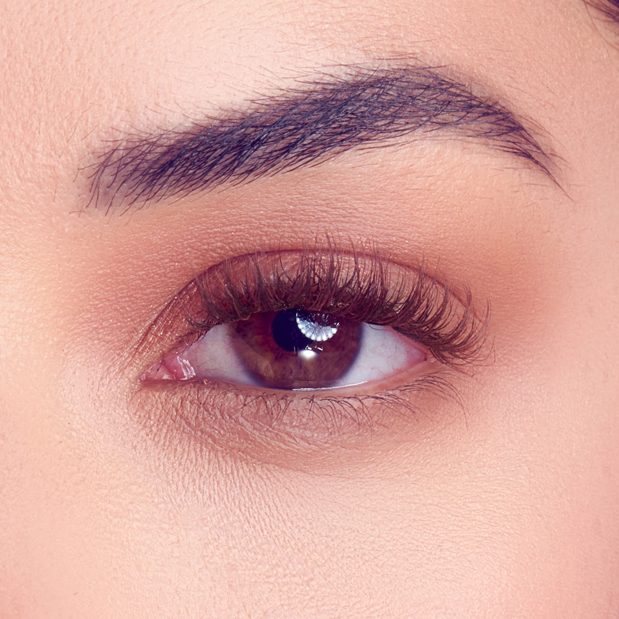 FALSCARA Studio Lash Extension Kit - Dark Chocolate - 54 Wisps - Image 2
