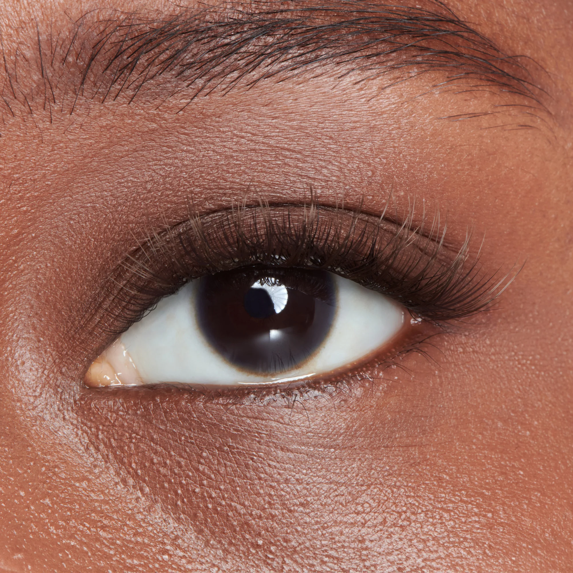 FALSCARA Studio Lash Palette - Dark Chocolate Spiky - 18 Wisps - Image 2