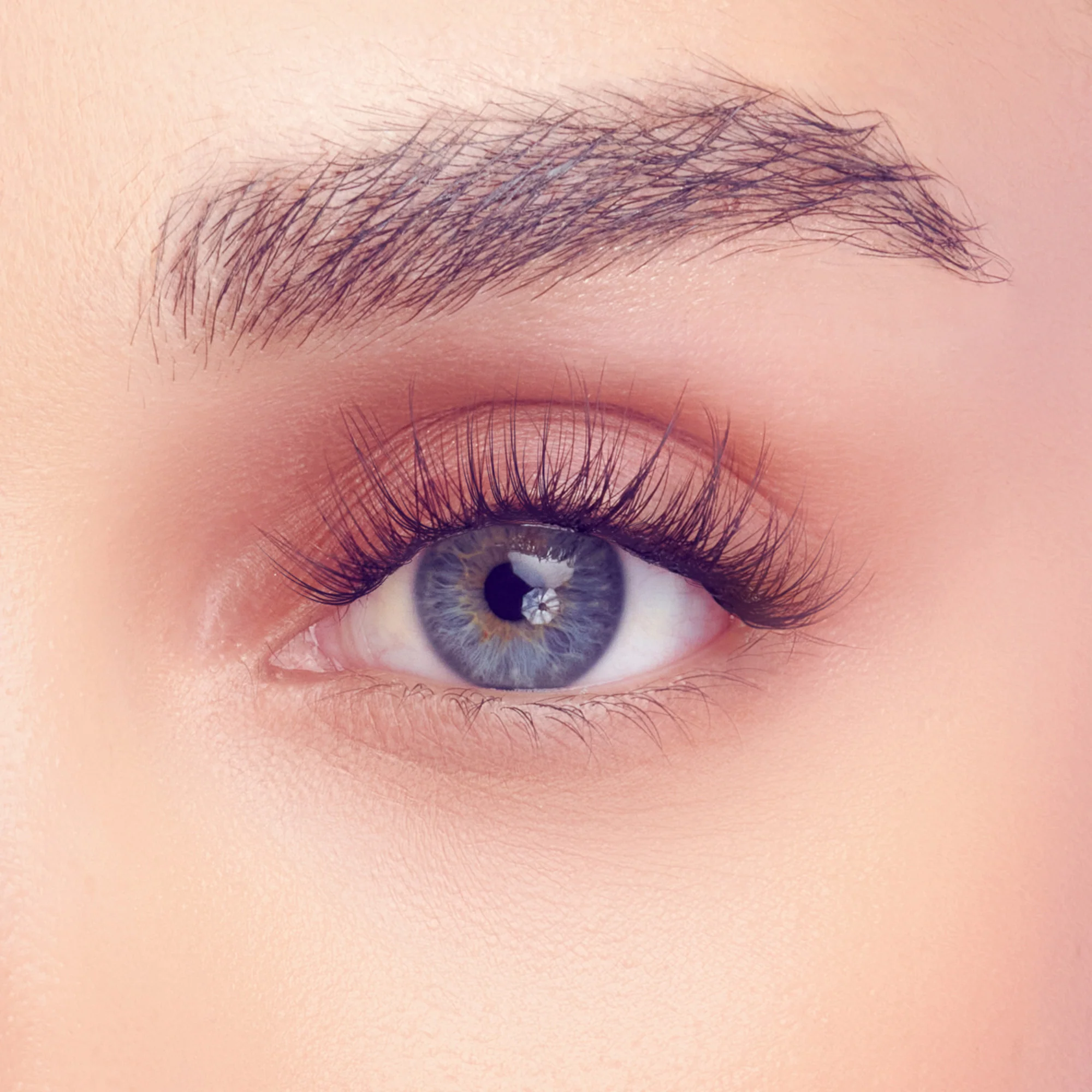 FALSCARA Studio Lash Palette - Delicate Fluffy - 18 Wisps - Image 3