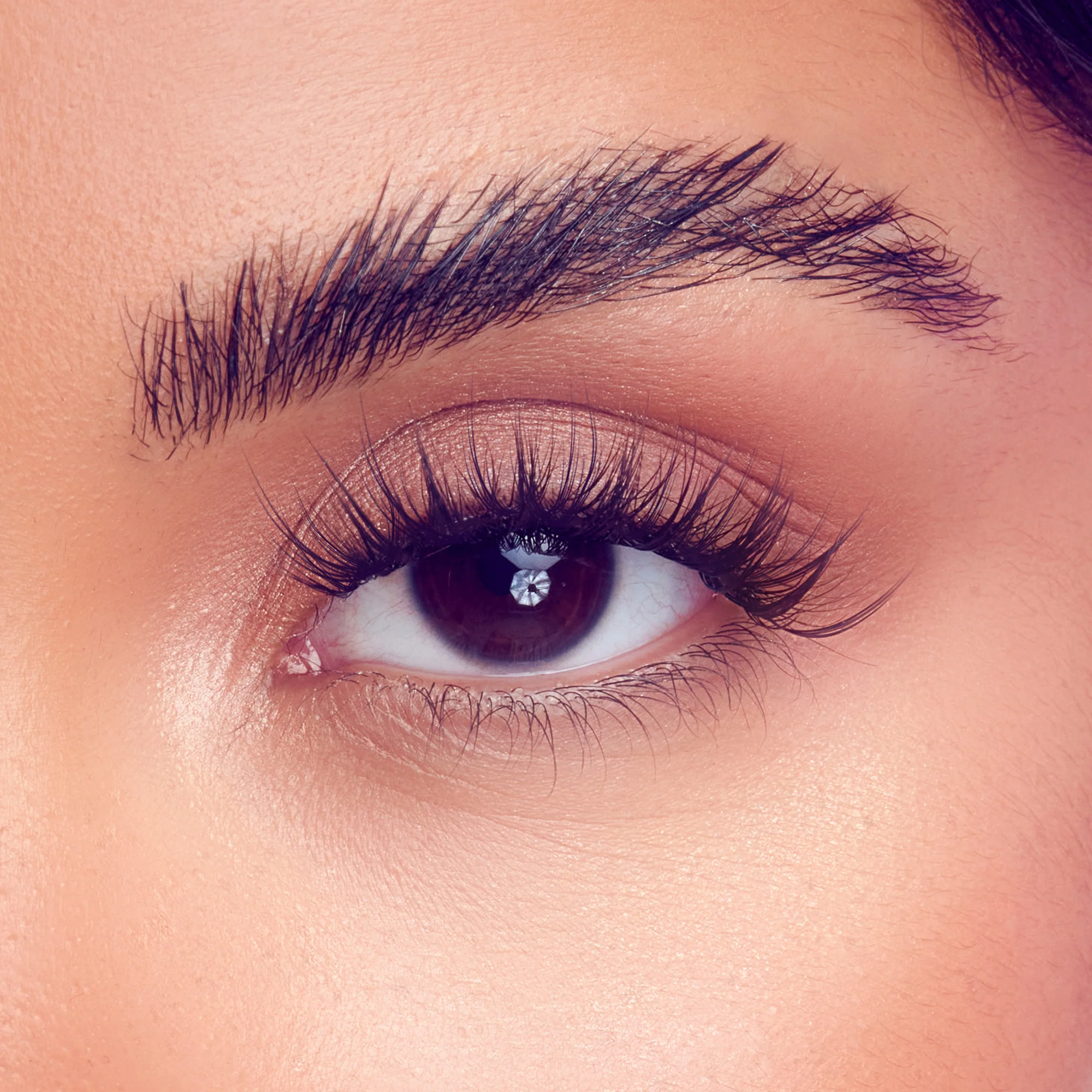 FALSCARA Studio Lash Palette - Xtra Spiky - 18 Wisps - Image 4