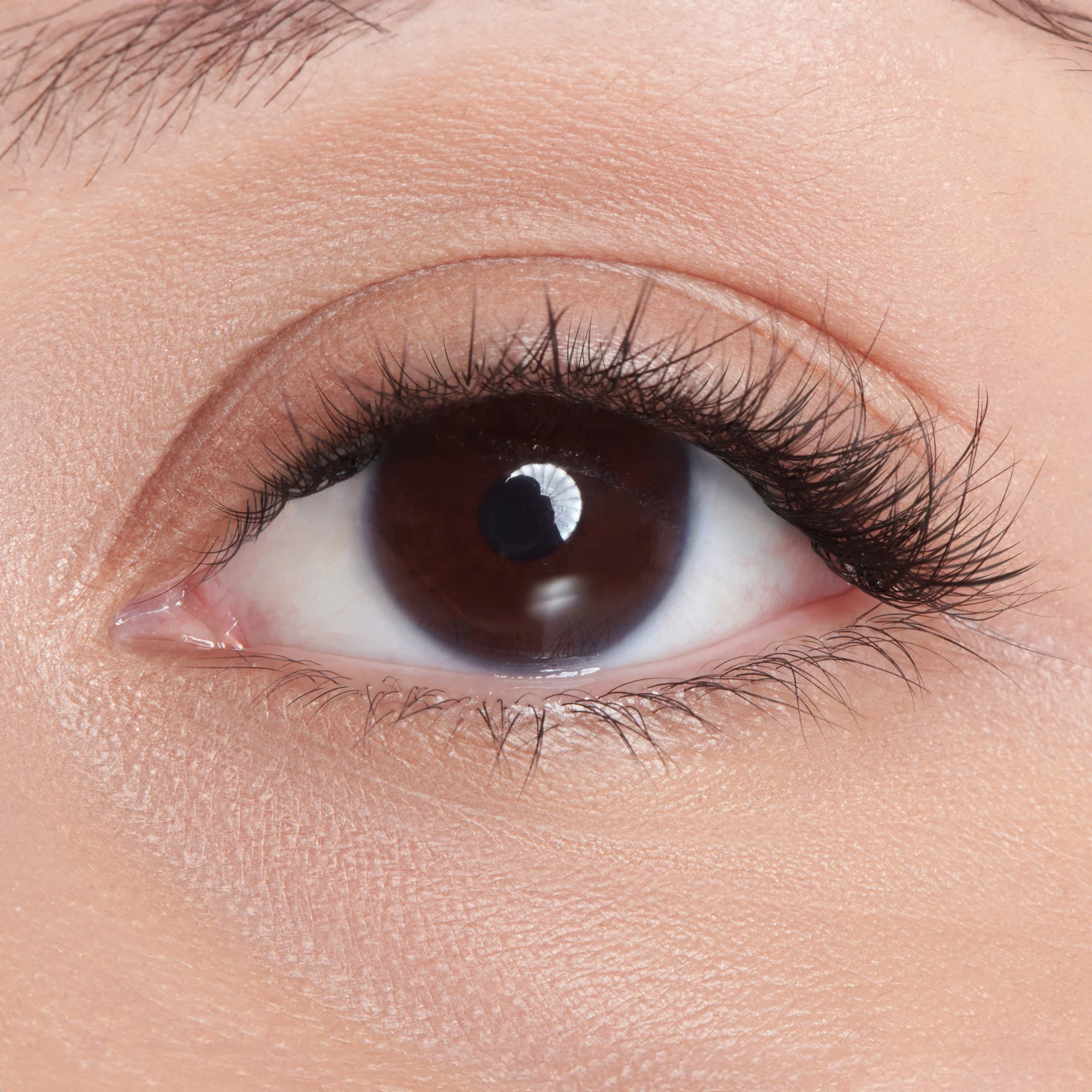 imPRESS Falsies Long Lasting Holiday Lashes - Demi Edgy - Image 4