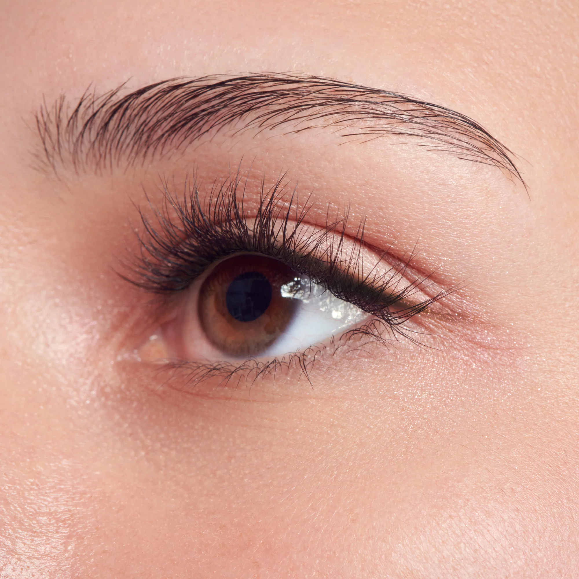 imPRESS Falsies Long Lasting Pre-Glued Lash Clusters Kit - Demi Natural - Image 2
