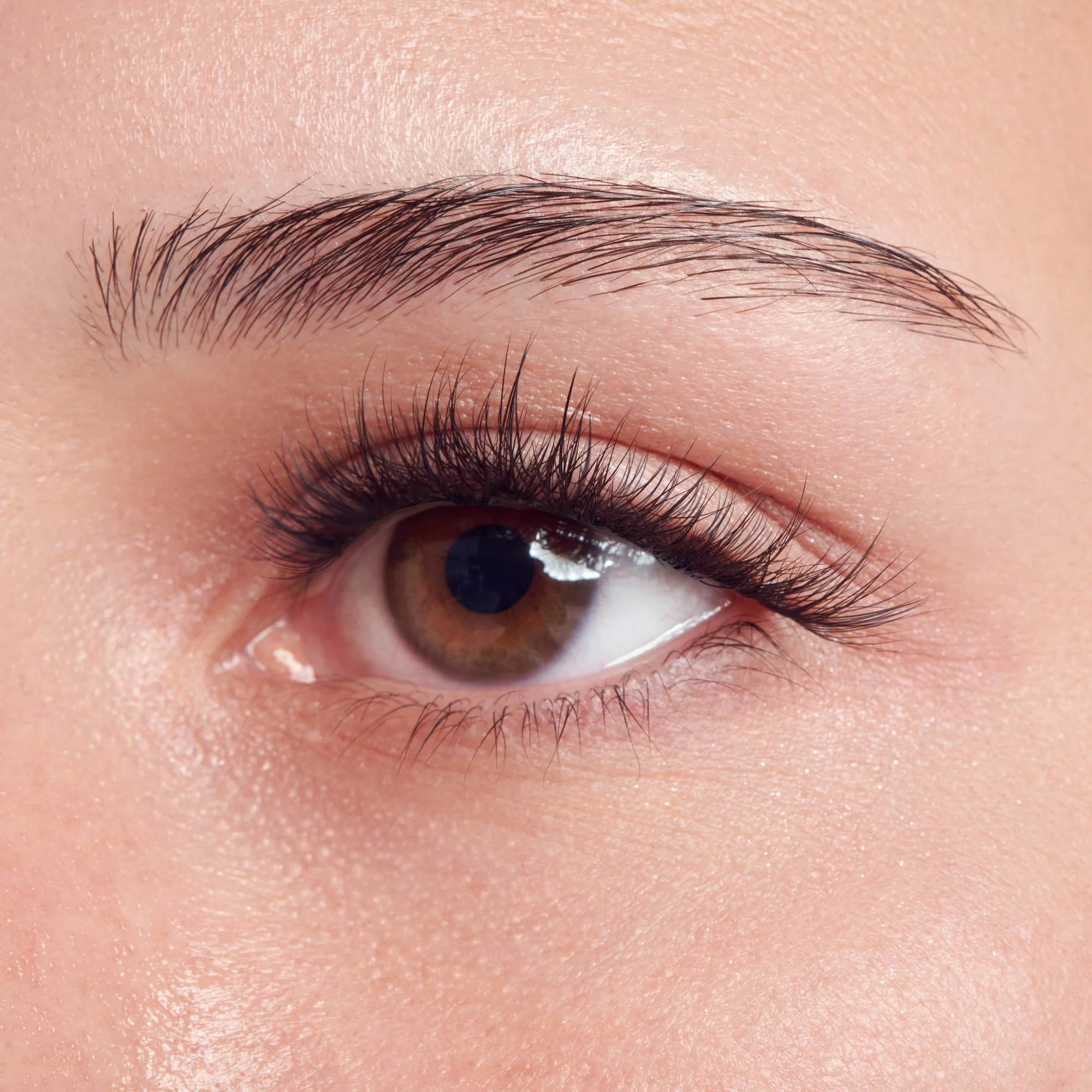 imPRESS Falsies Long Lasting Pre-Glued Lash Clusters Kit - Demi Wispy - Image 2