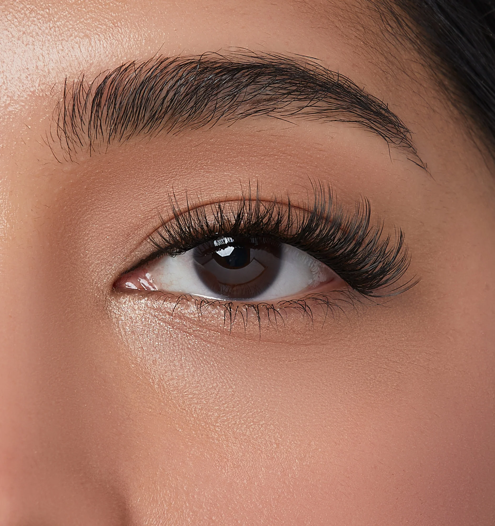 imPRESS Falsies Self Adhesive Eyelashes, 12 Lash Clusters + Applicator – Lavish - Image 4