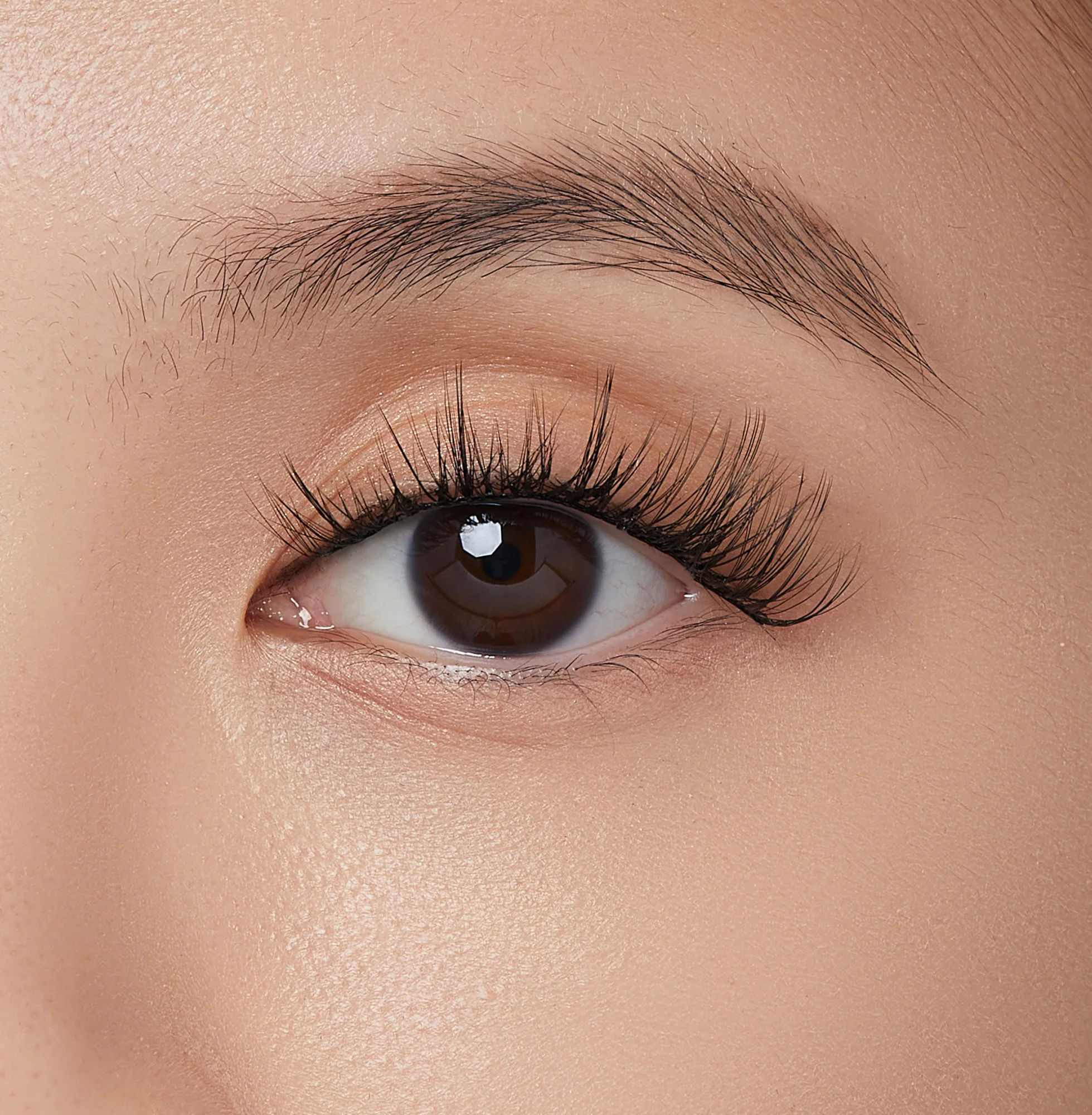 imPRESS Falsies Self Adhesive Eyelashes, 12 Lash Clusters + Applicator - Modern - Image 4