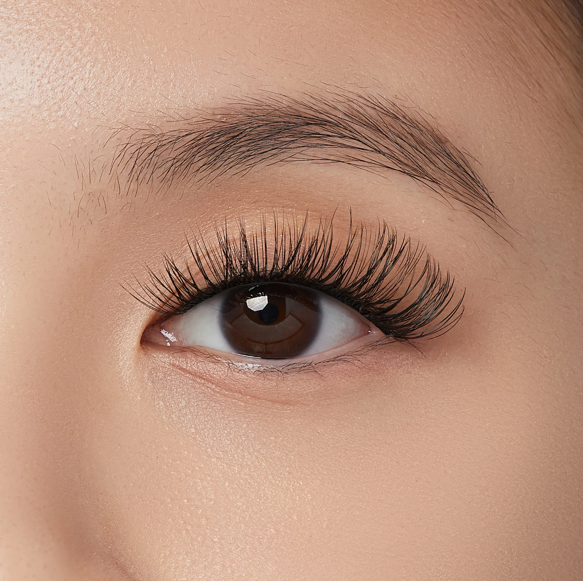 imPRESS Falsies Self Adhesive Eyelashes, 12 Lash Clusters + Applicator – Sleek - Image 4