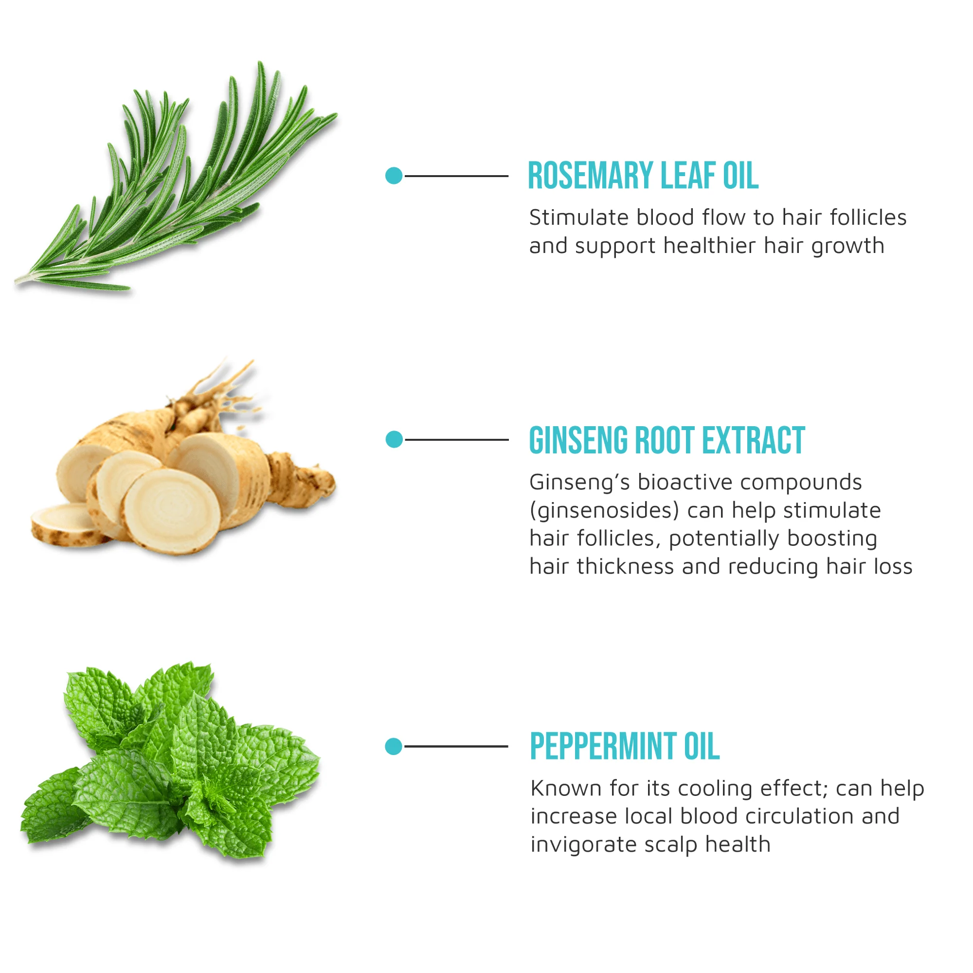 KISS Colors & Care Multivitamin Oil - Rosemary & Mint - Image 8