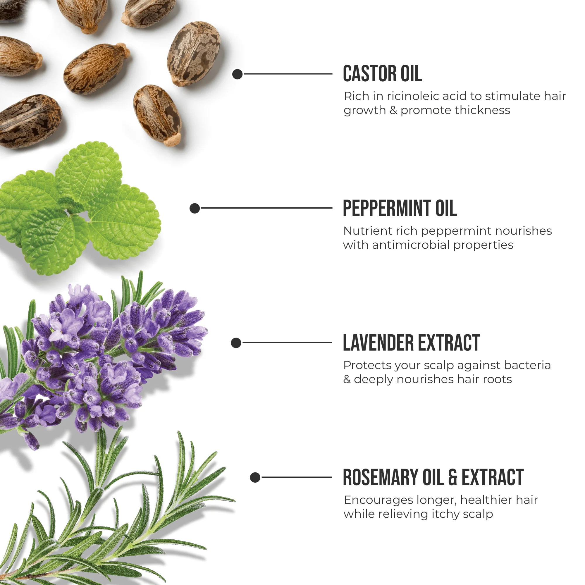 Healthy Hair Fixation Trio | Spot Fixer Growth Serum - Image 11