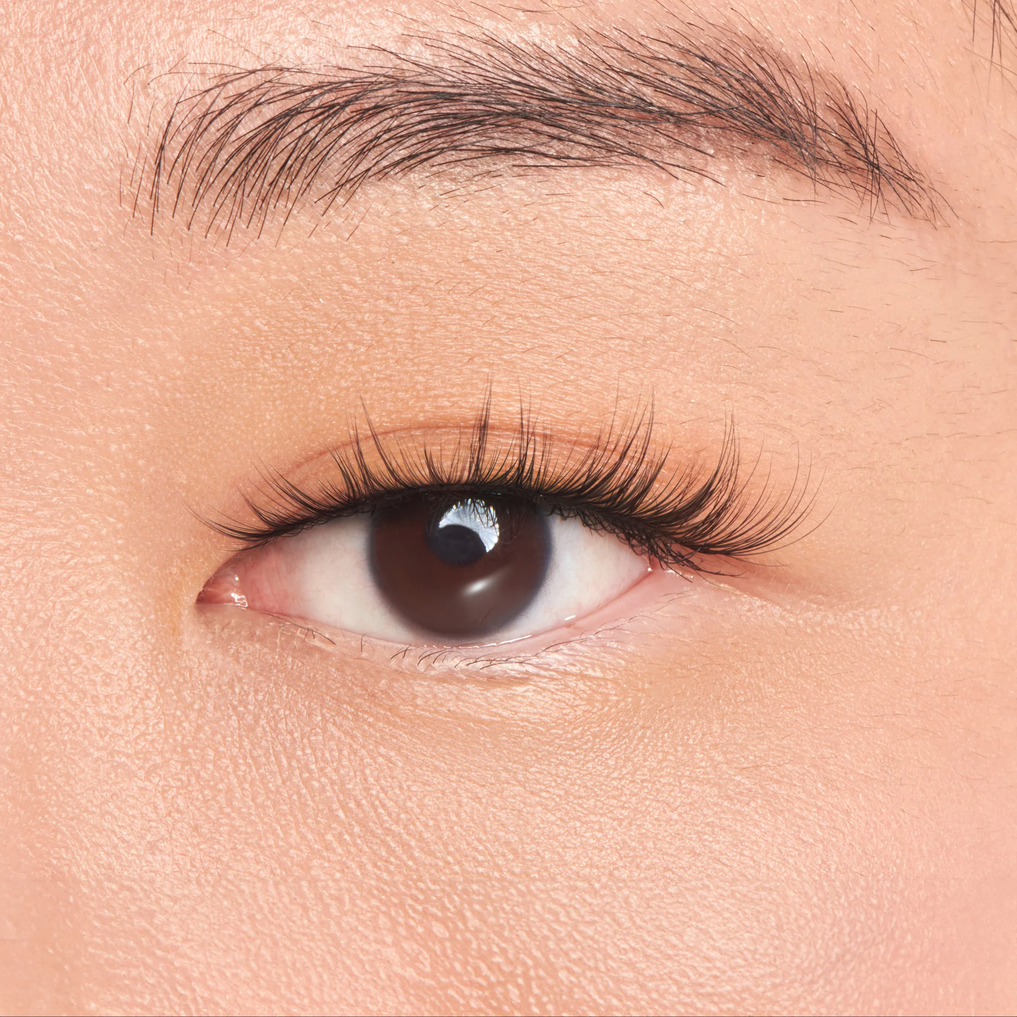 KISS Filter Lashes – Bunny Pretty - Image 4