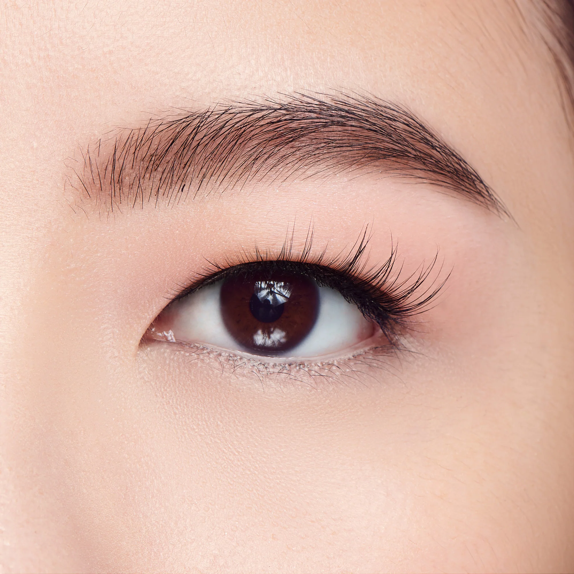 KISS Filter Lashes – LASH x GLOSS - Image 4