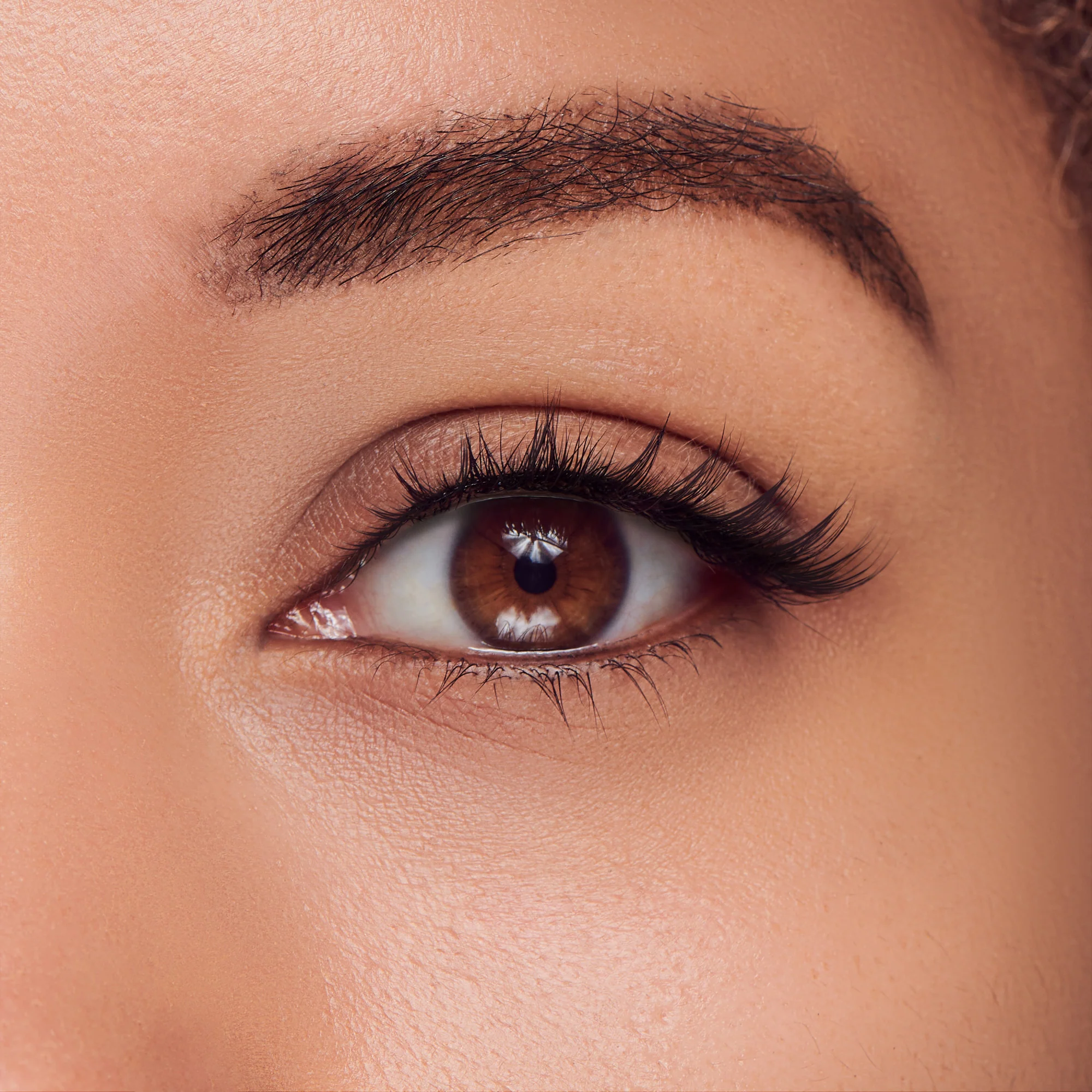 KISS Filter Lashes – LASHES II xoJourdan - Image 4