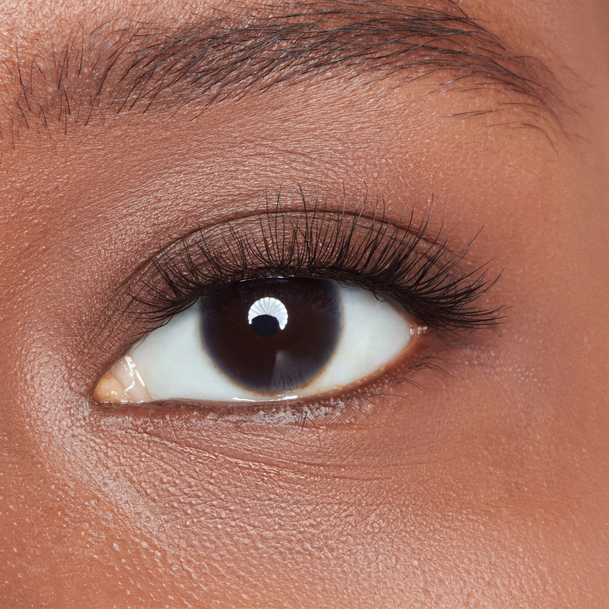 KISS Lash Case Kit - Image 4