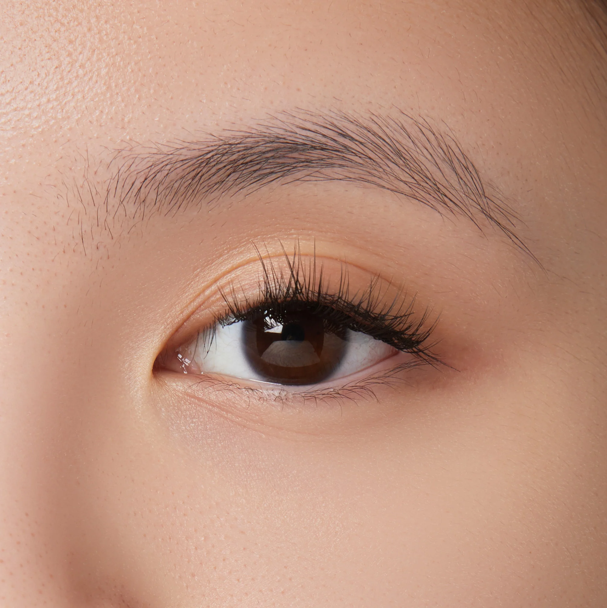 KISS Lash Trial Kit - Image 2