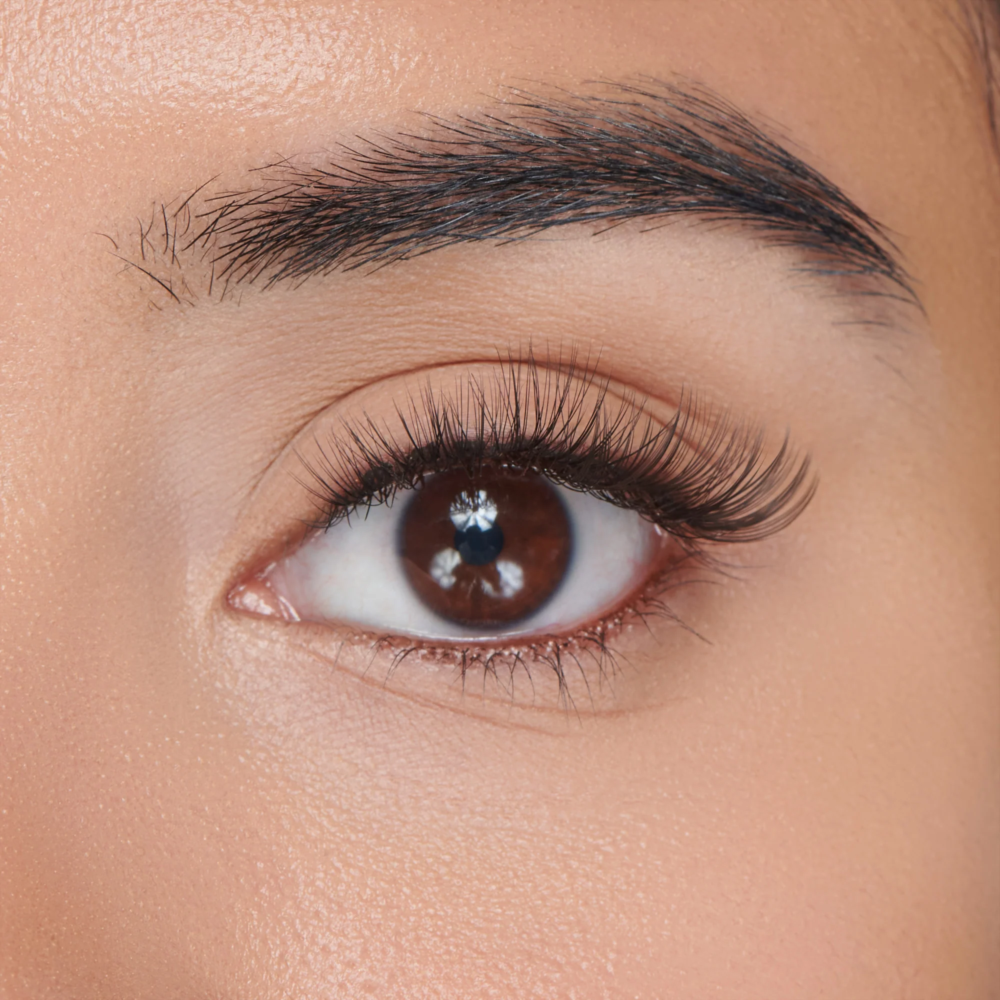 KISS Peony False Eyelashes, Lash Extension Kit, 120 Lash Clusters - Midnight Muse - Image 3