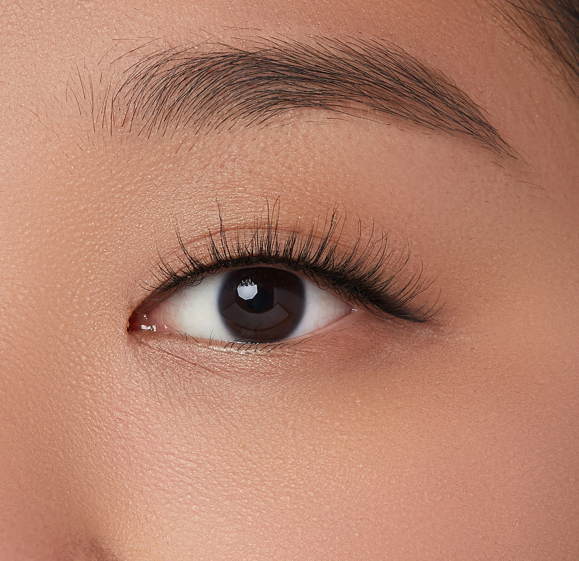 KISS Lash Couture Rebel Collection – volume up - Image 4
