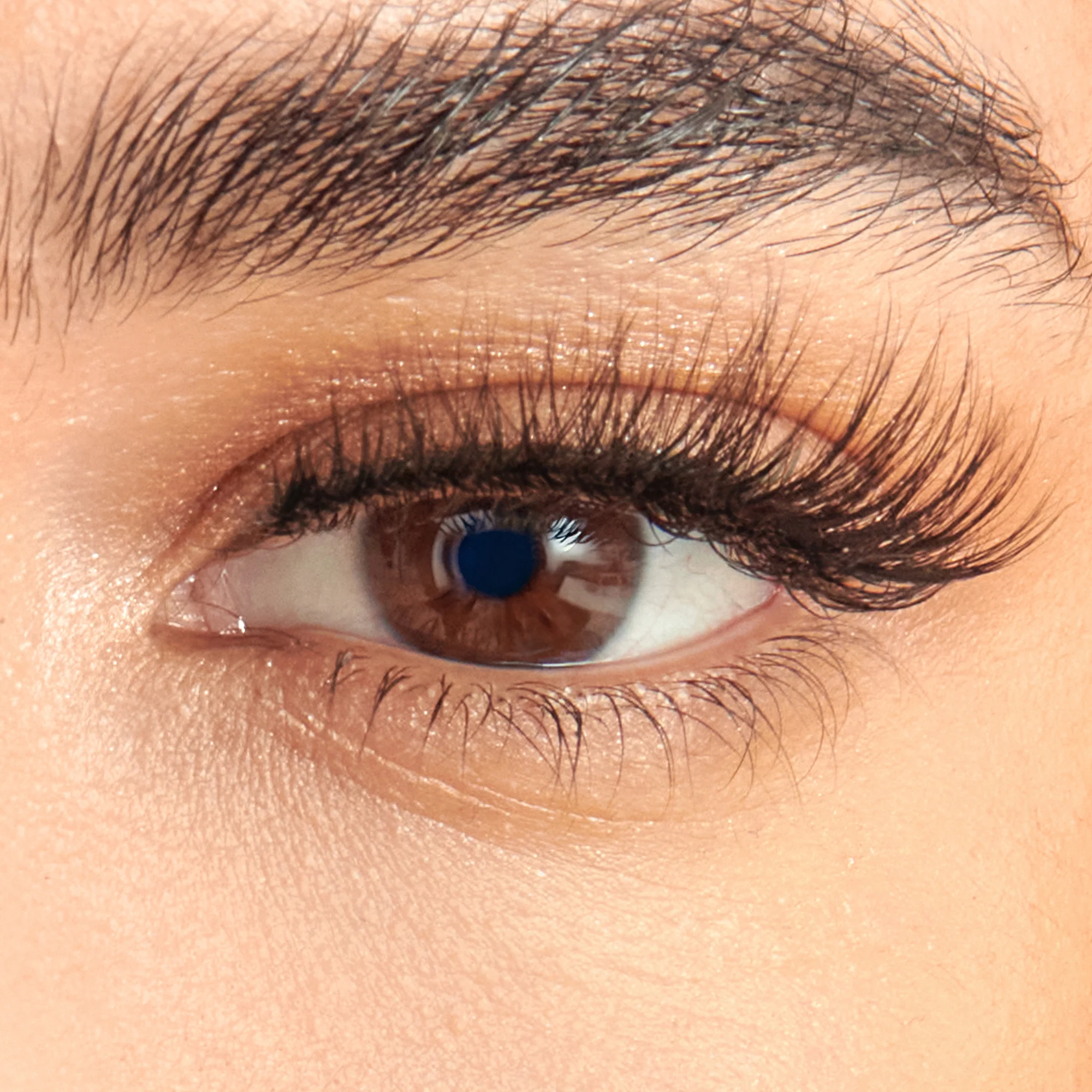 KISS Lash Couture The Muses Holiday Lashes – Legacy - Image 4