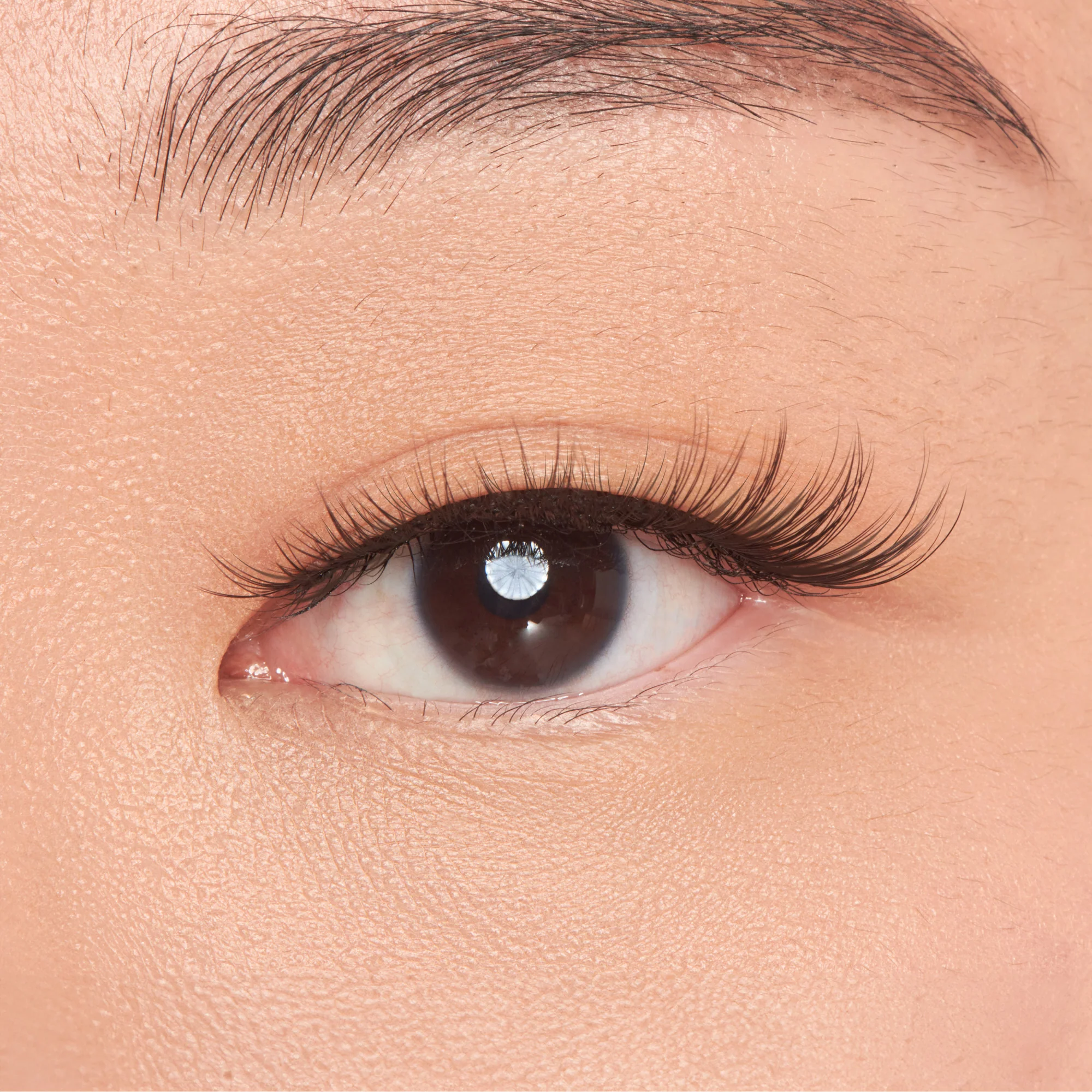 KISS My Lash But Better - No Filters - Image 3