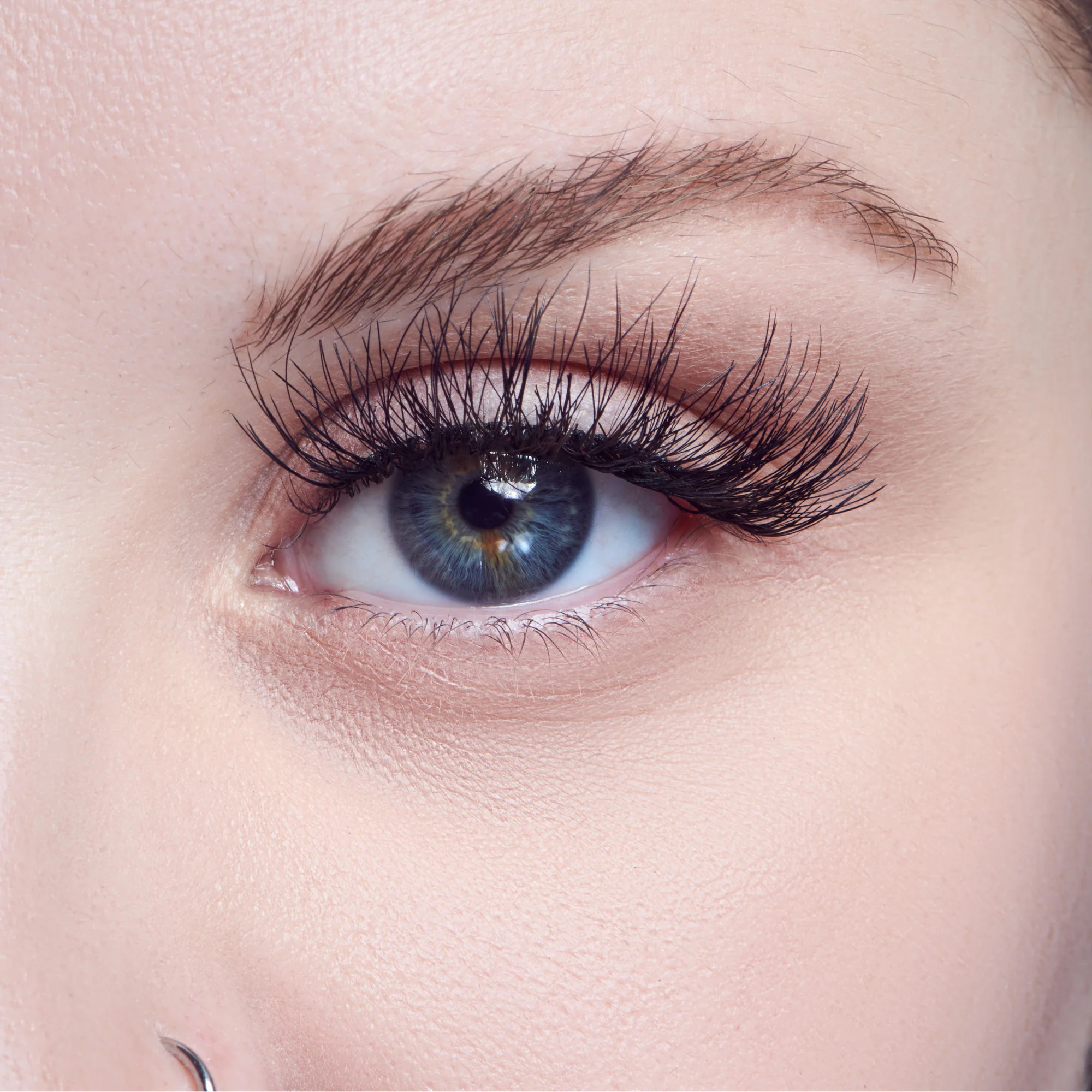 KISS Sister Nature False Eyelashes - Dawn - Image 2