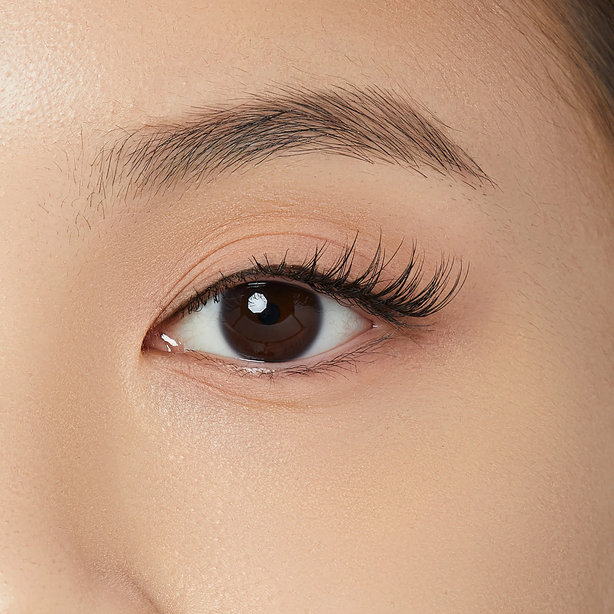 KISS The New Natural - Half Lash - Glowy Skin - Image 2